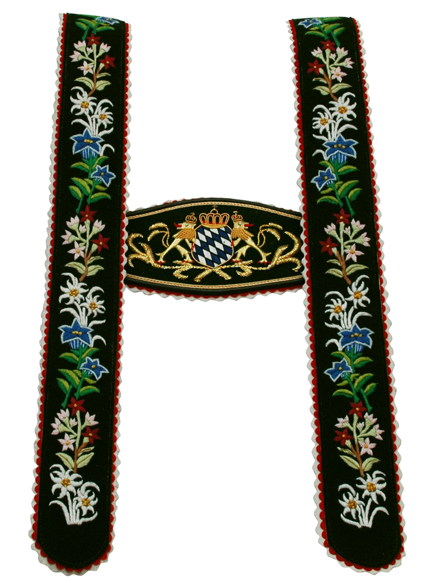 Träger Werdenfelse handgestickt, Löwe, grün #1
